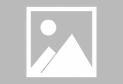 最新吃瓜爆料免费下载,免费下载独家内幕大公开！