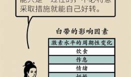 尿道 漫画,揭秘人体奥秘的趣味之旅